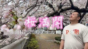[日本] 生・乱パクラス Dkmrnmonly 桜満開 強面hilo凹のアナルに4P8射