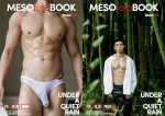 [PHOTO SET] MESOfoto BOOK 06 – UNDER A QUIET RAIN